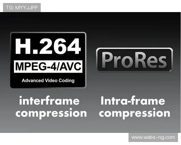 本季度H.266编码标准的初步应用 极大地优化了多端协作的存储与分发